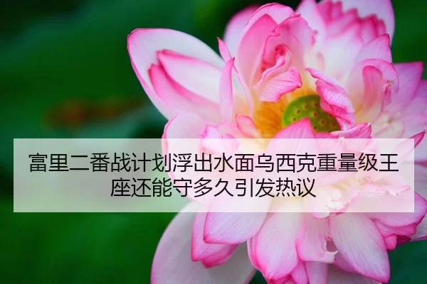 富里二番战计划浮出水面乌西克重量级王座还能守多久引发热议