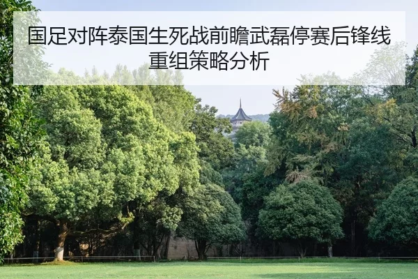 国足对阵泰国生死战前瞻武磊停赛后锋线重组策略分析