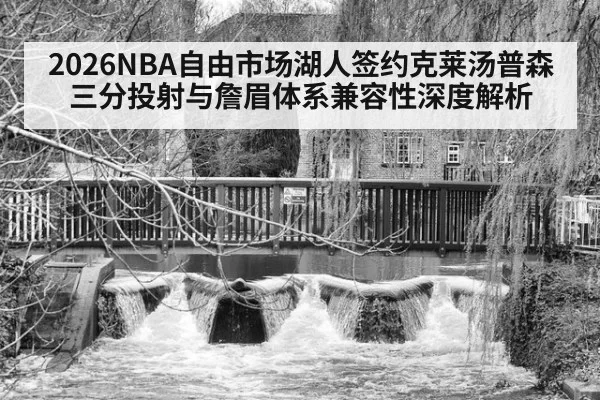 2026NBA自由市场湖人签约克莱汤普森三分投射与詹眉体系兼容性深度解析