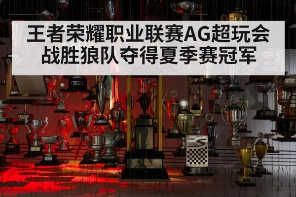 王者荣耀职业联赛AG超玩会战胜狼队夺得夏季赛冠军